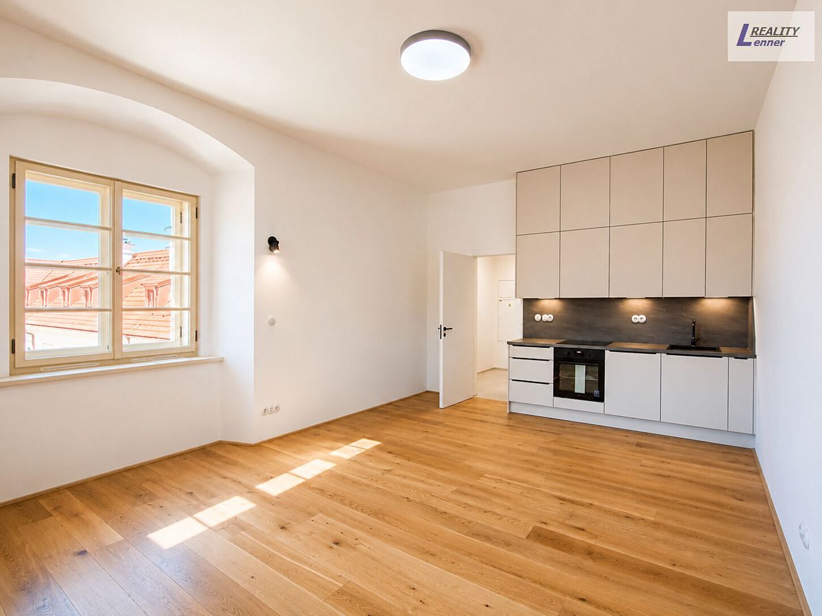 Pronájem bytu 1+kk 48 m²